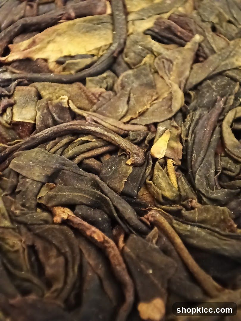 Dried Tea Leaves