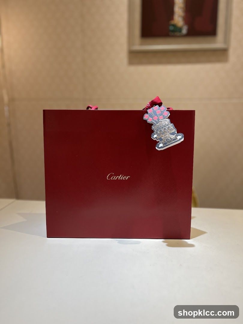 Cartier Gift Bag