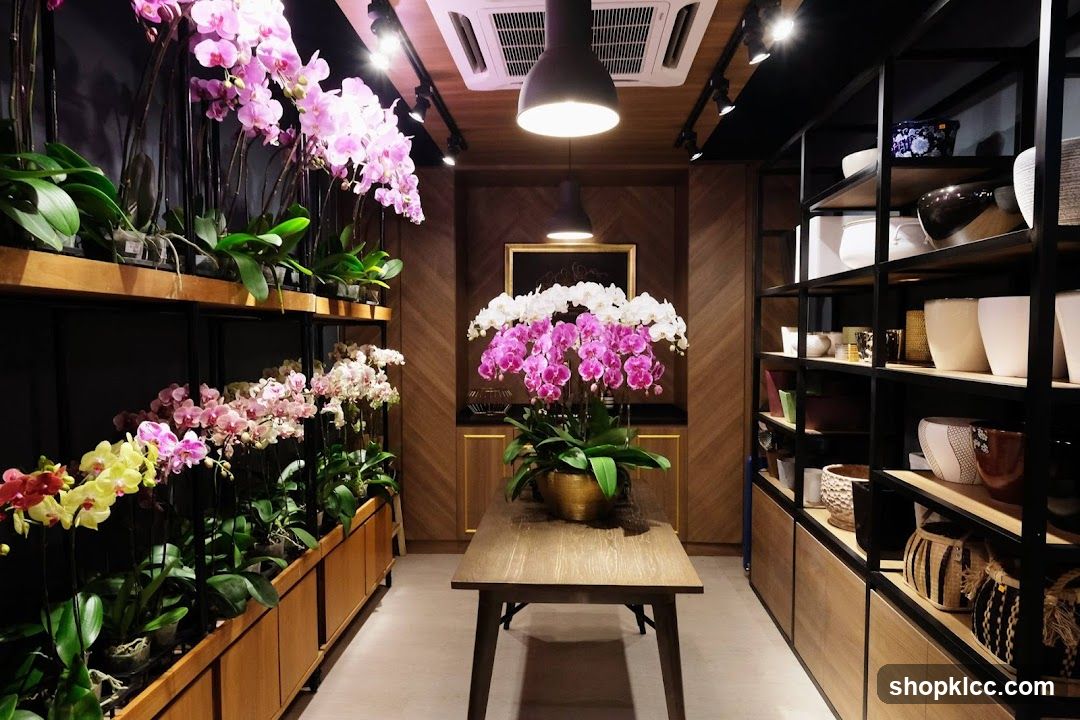 Orchid Display
