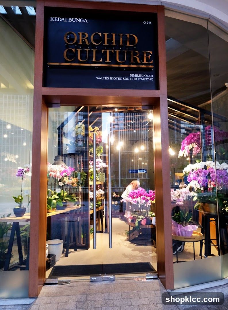 Orchid Culture