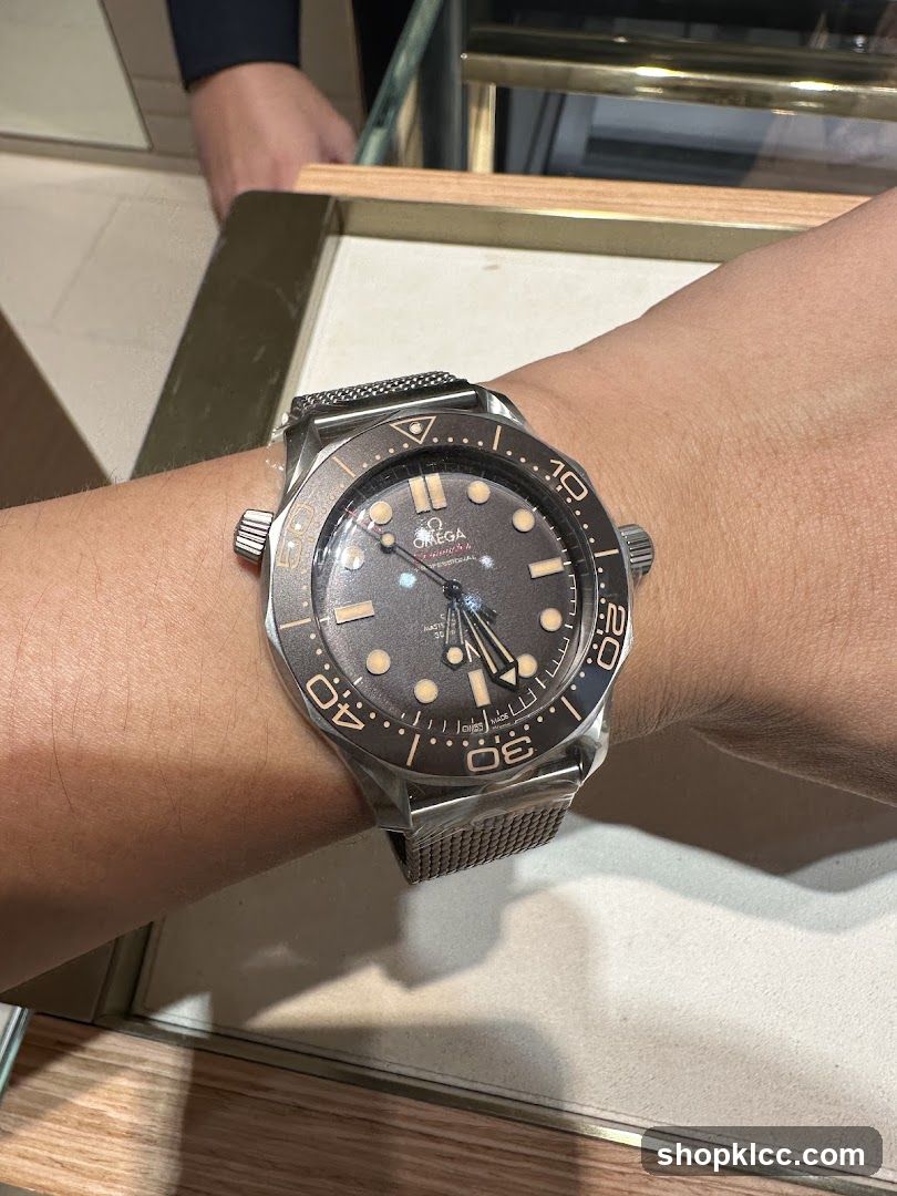 Omega Seamaster Watch