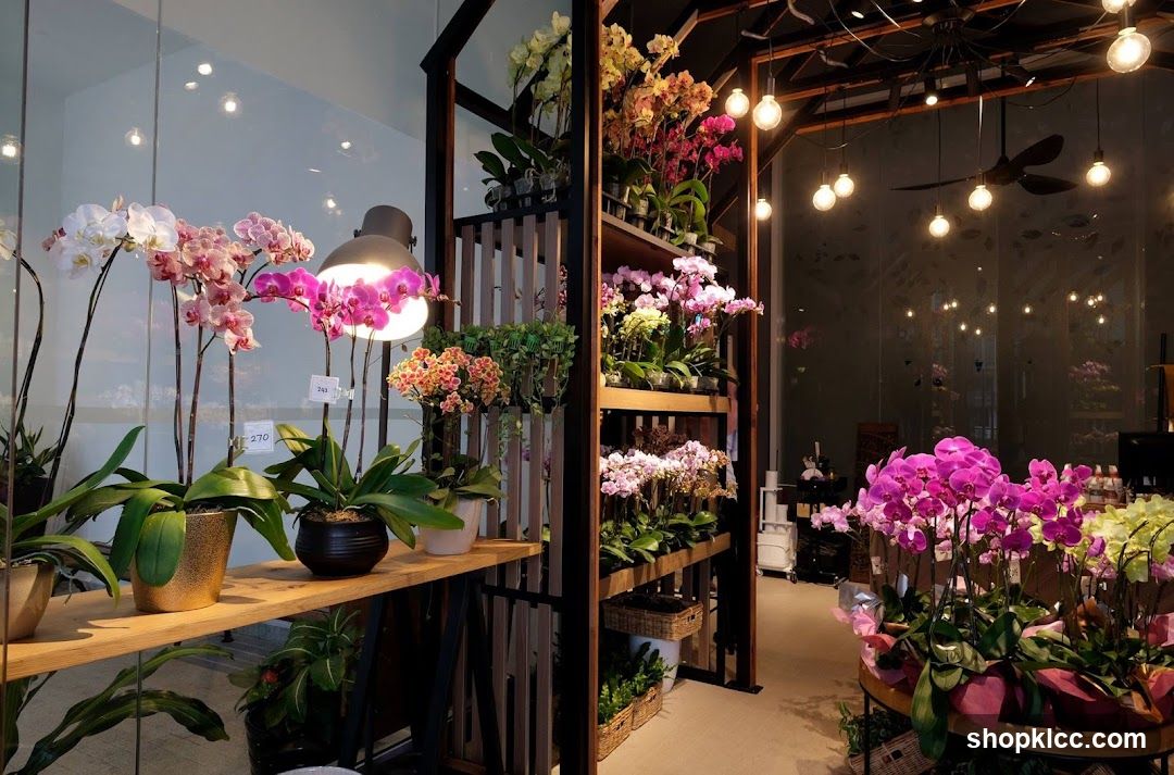 Orchid Display