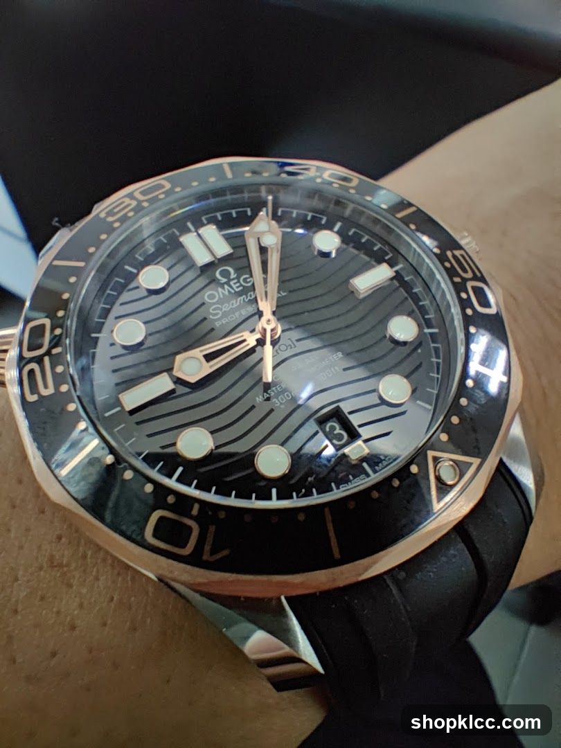 Omega Seamaster Watch