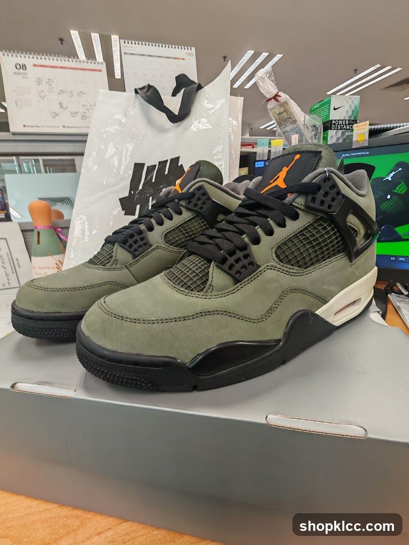 Air Jordan 4 Shoes