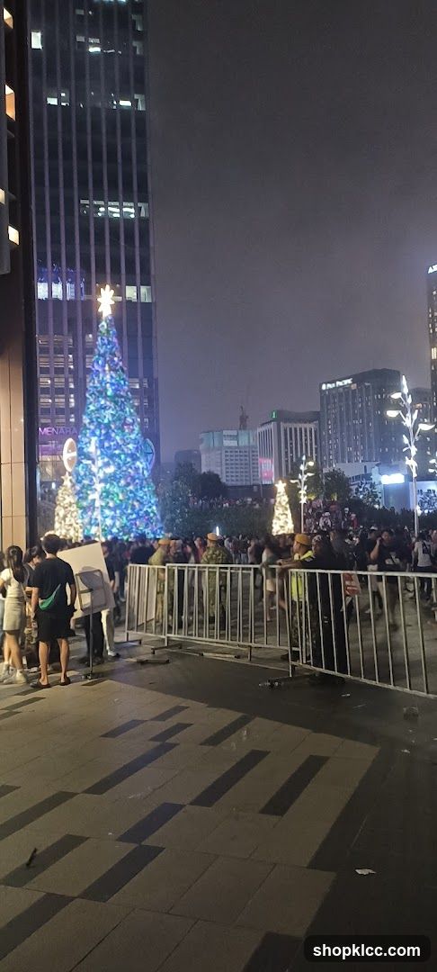 Christmas Tree Display