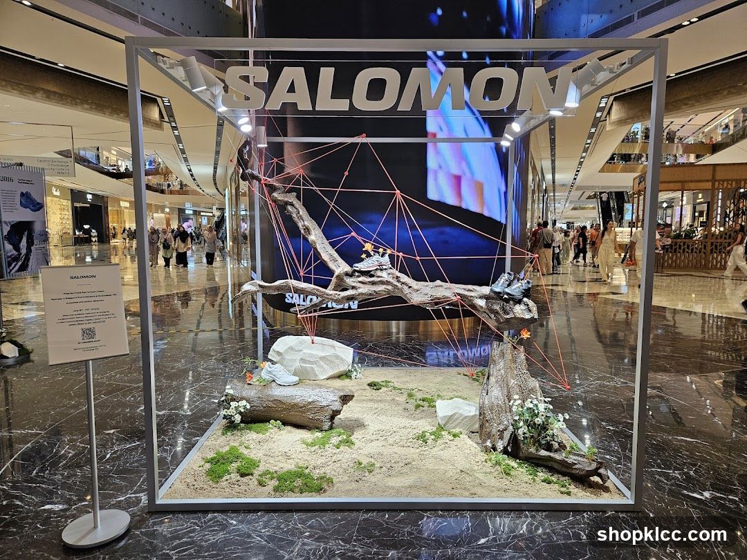 Salomon Display