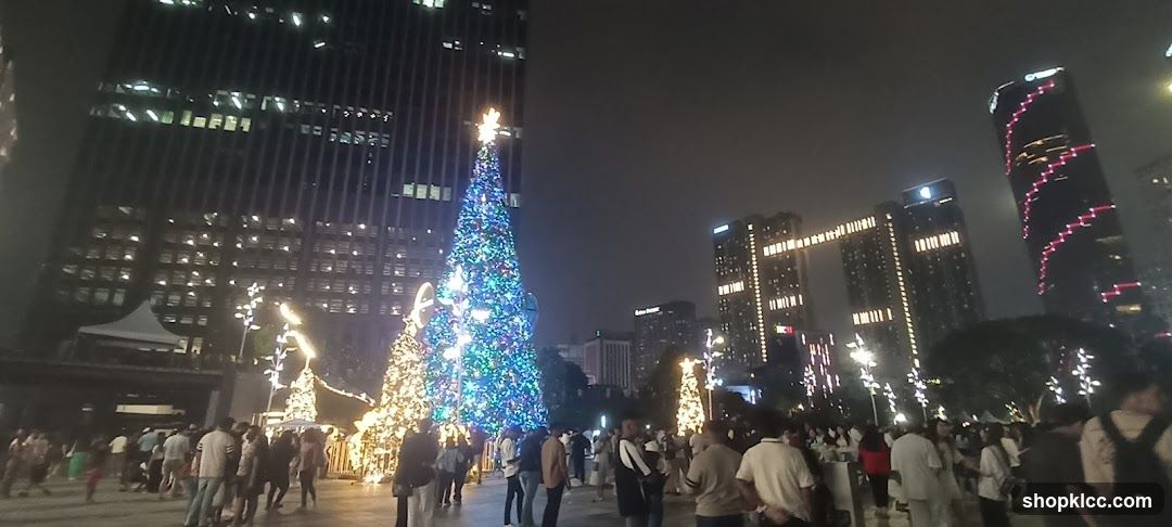 Christmas Tree Display in City Square