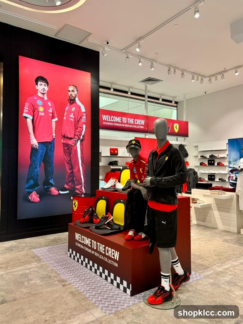 Ferrari Replica Collection Display