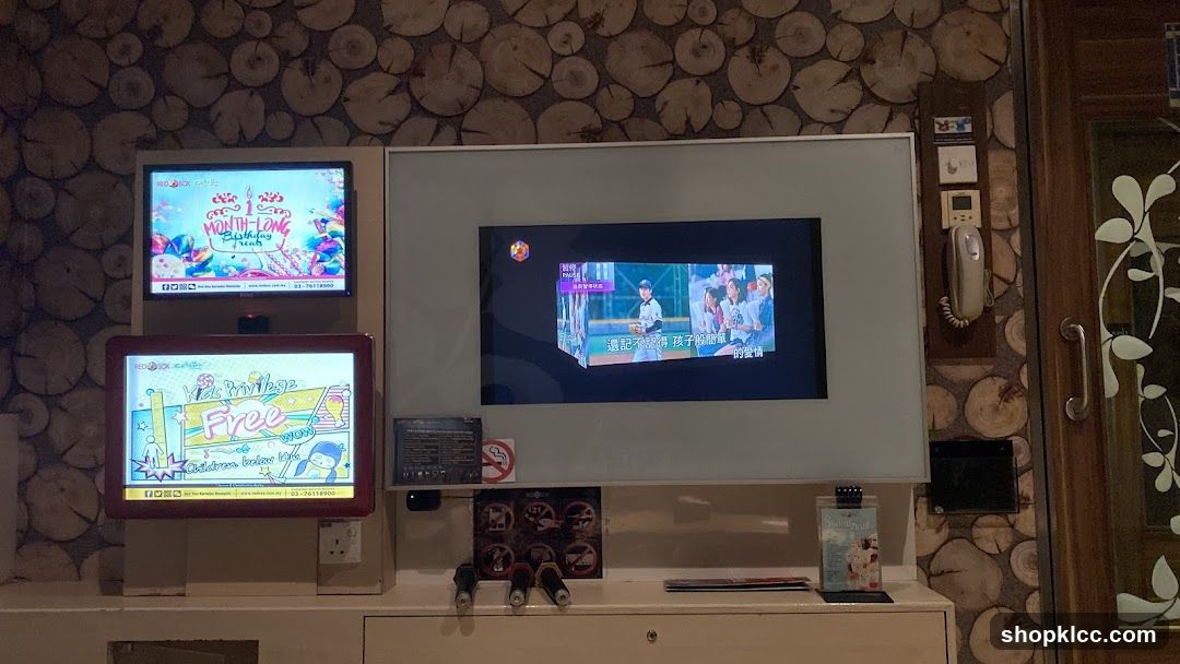 Karaoke machine screens and microphones