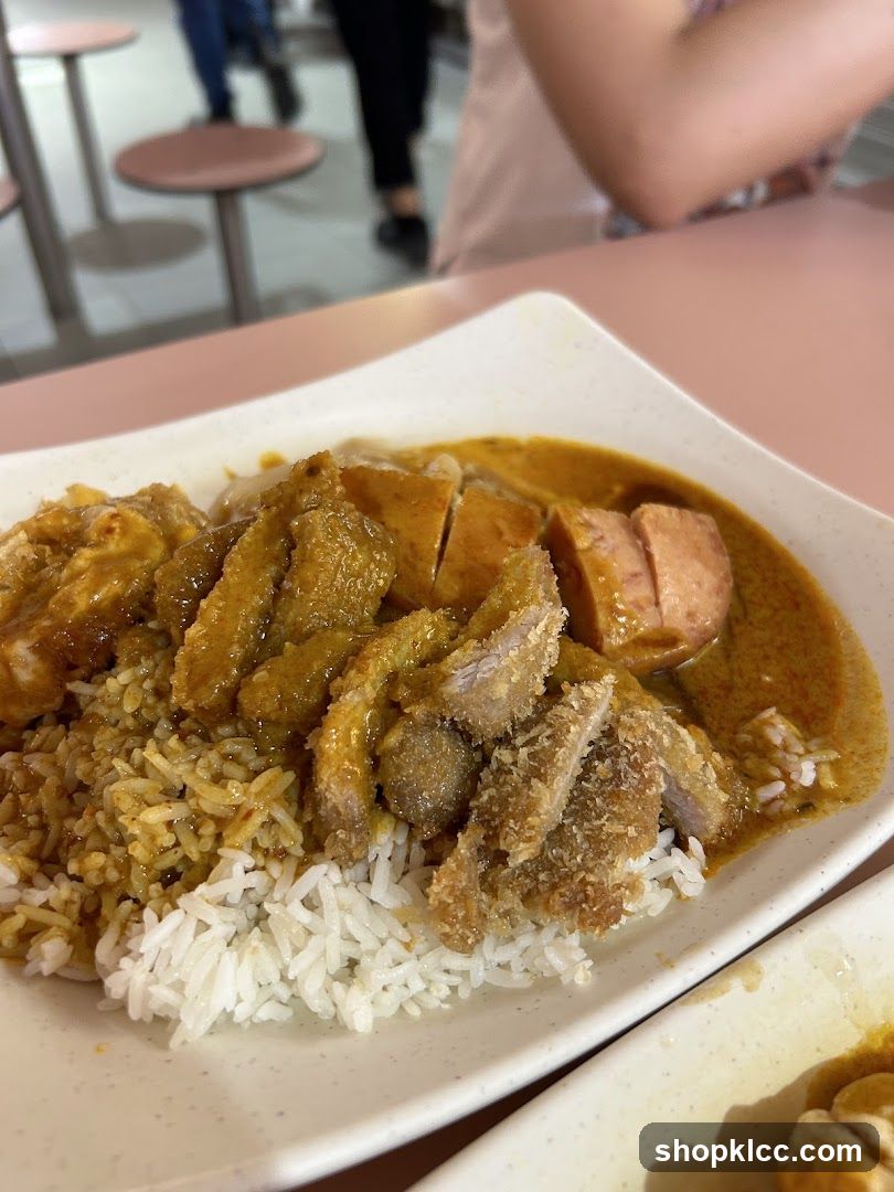 Curry Rice with Meats