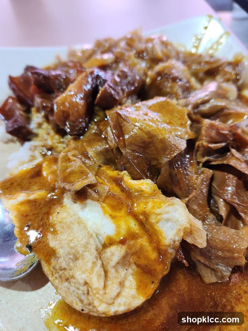 Braised Pork and Tofu Skin with Rice