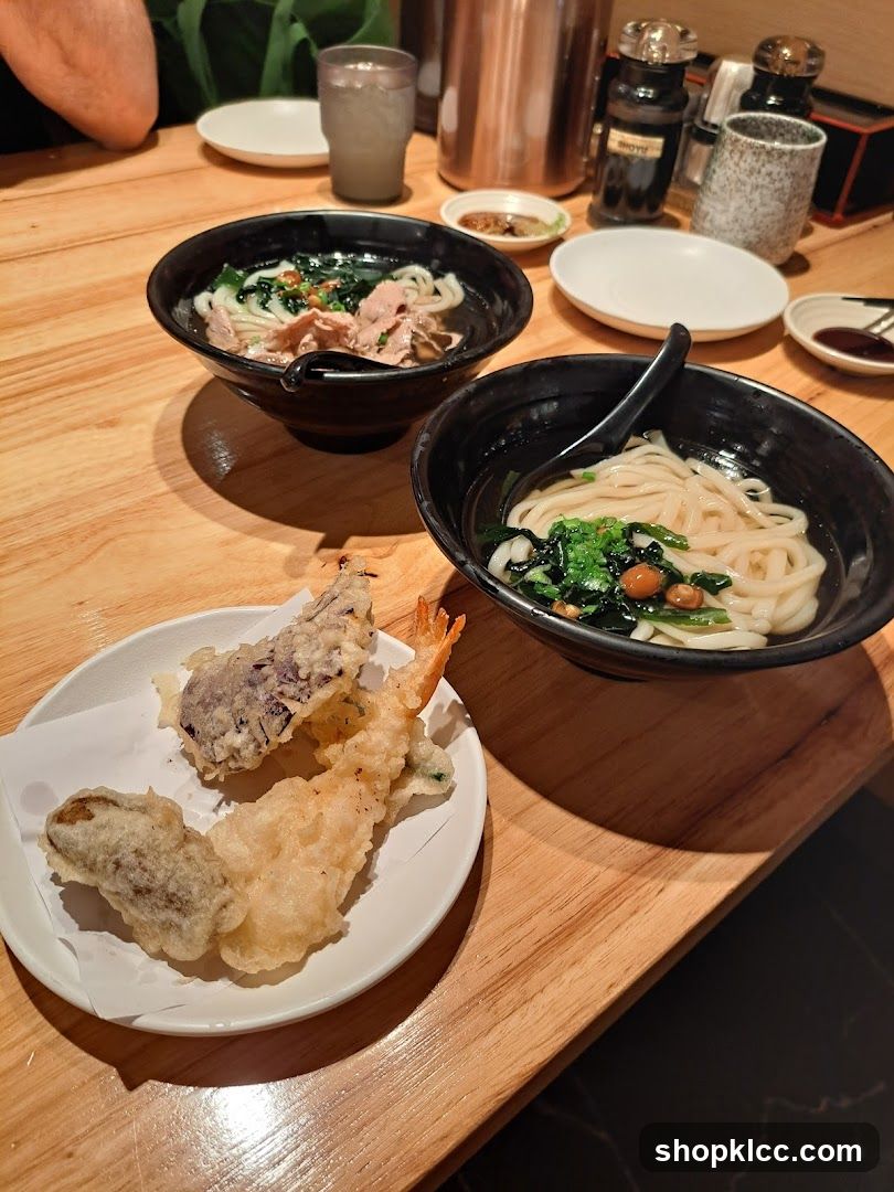 Udon Noodles and Tempura