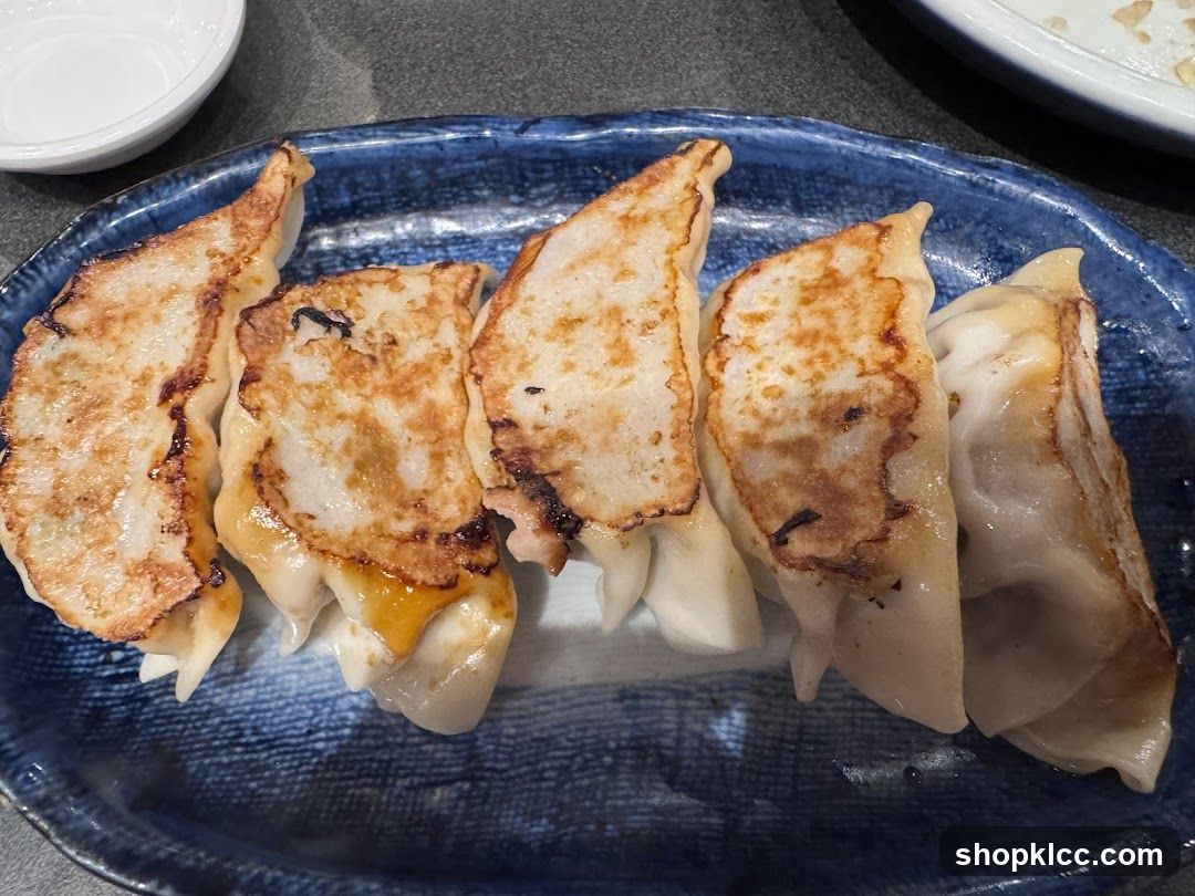 Pan-fried dumplings