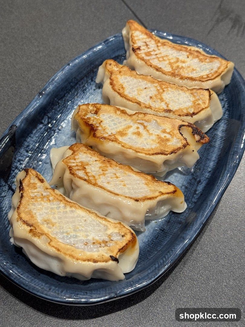 Pan-fried dumplings