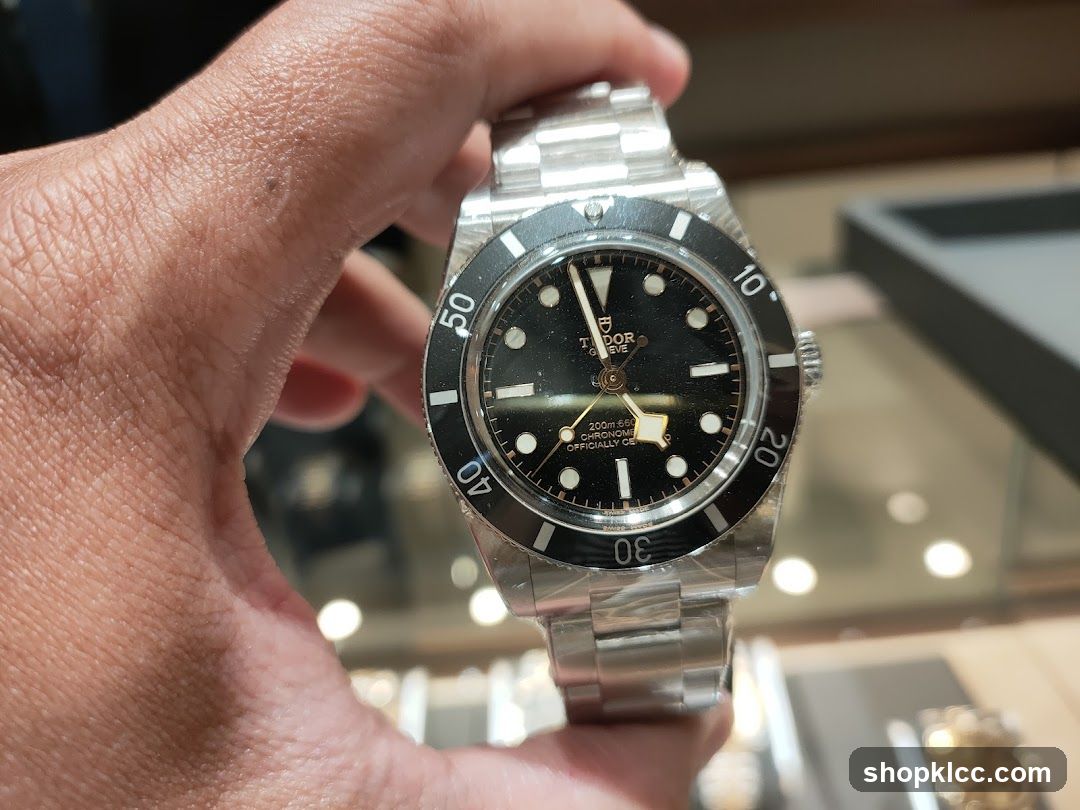 Tudor Watch