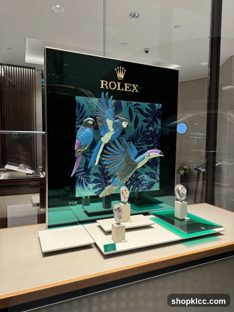 Rolex Watch Display