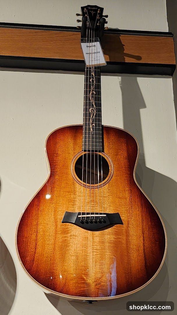 Acoustic Guitar