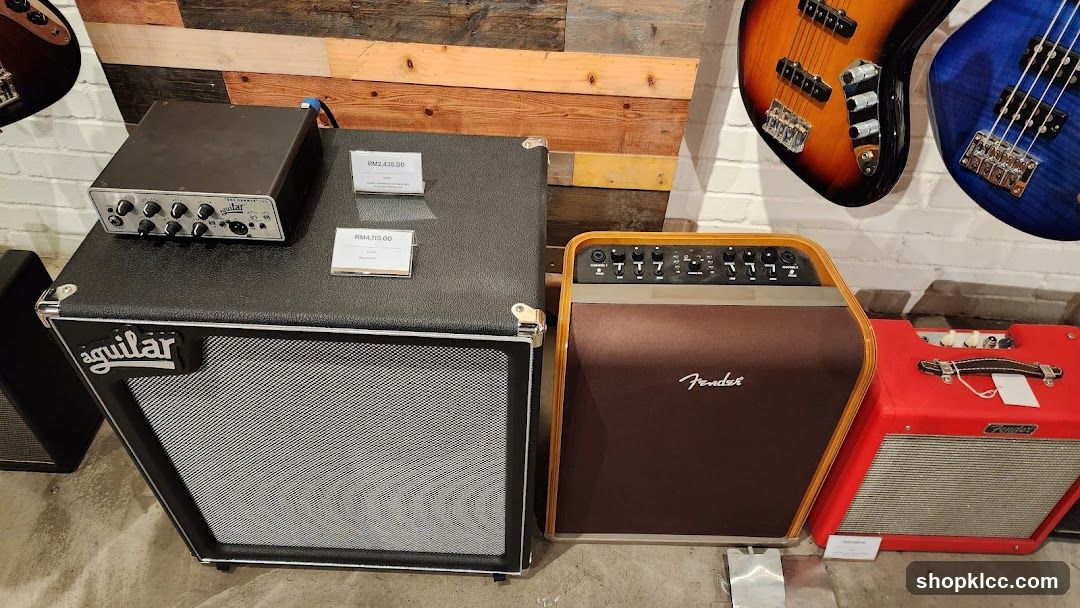 Musical Instruments and Amplifiers