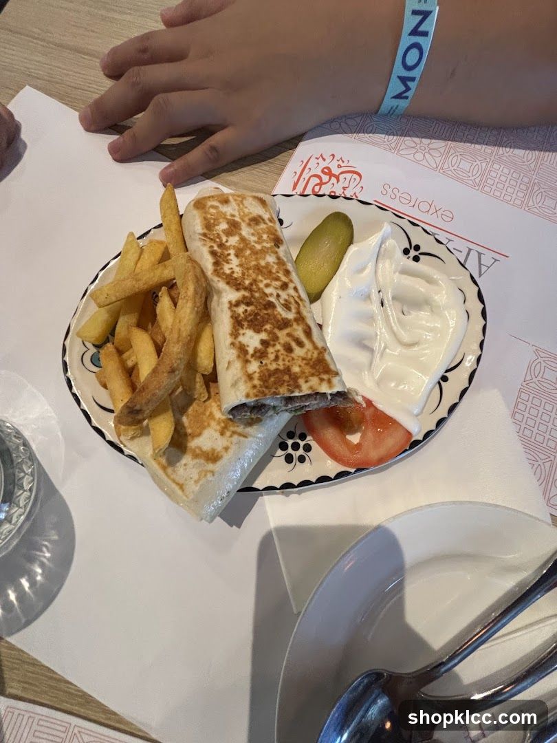 Shawarma plate with fries and sauce
