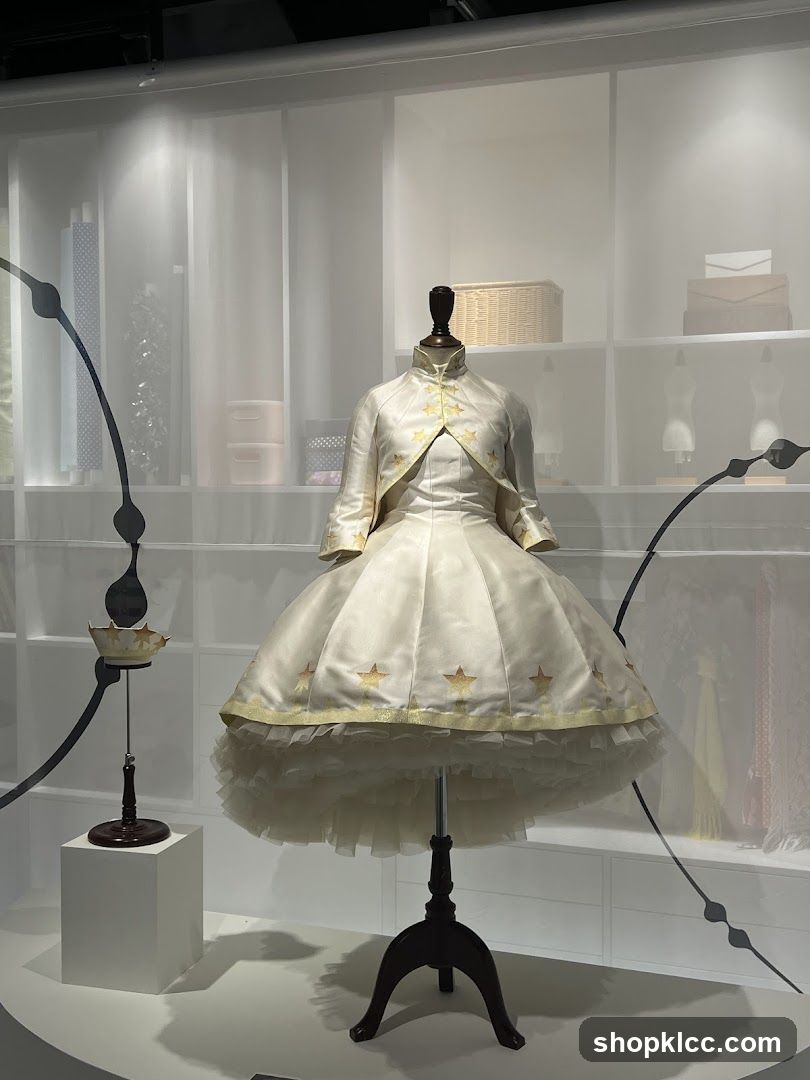 Exhibition Display of a Star-Adorned Dress