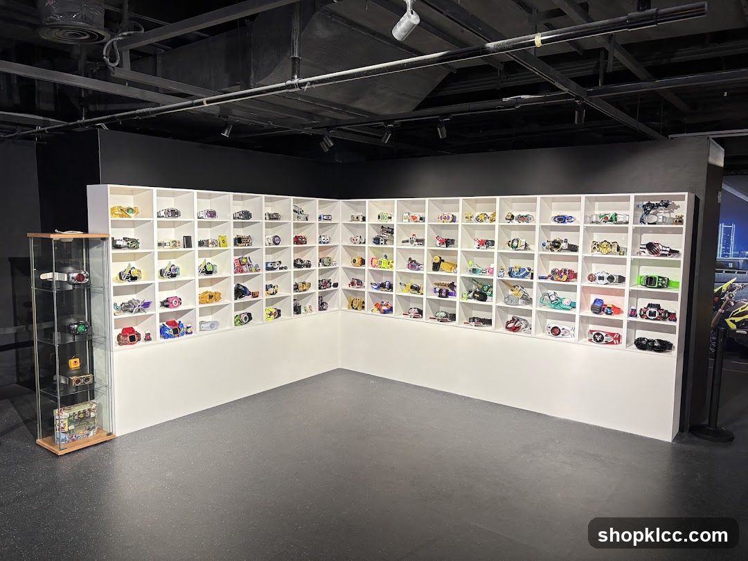 Display of Collectible Belts