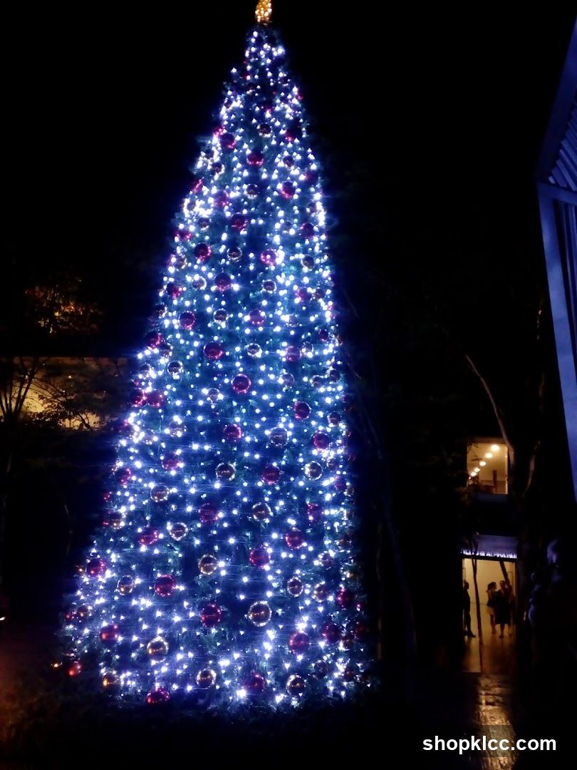 Decorated Christmas Tree at Night