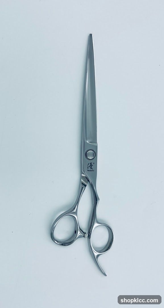 Professional Hair Scissors