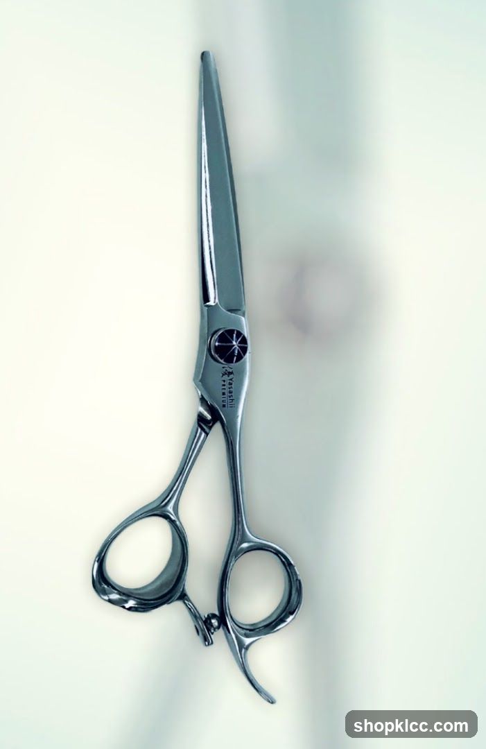 Professional Hair Scissors