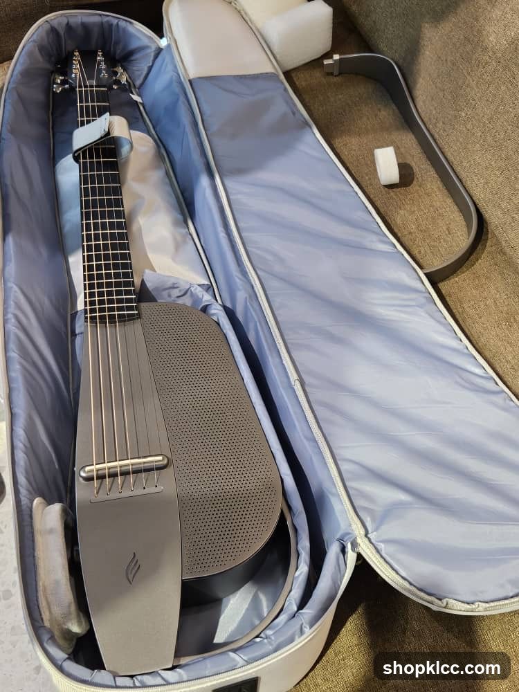 Guitar in Case