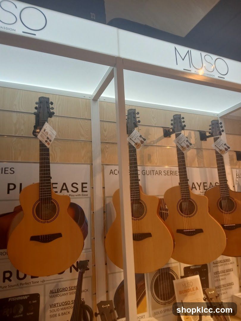 Guitars on Display