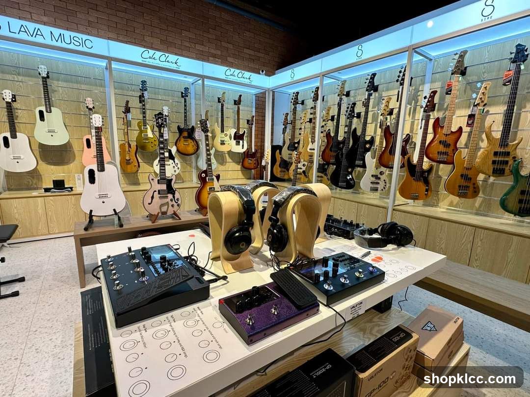 Guitars and Music Equipment Store