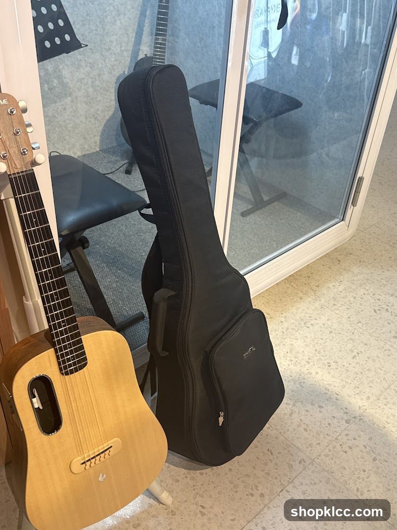 Guitars and Gig Bag