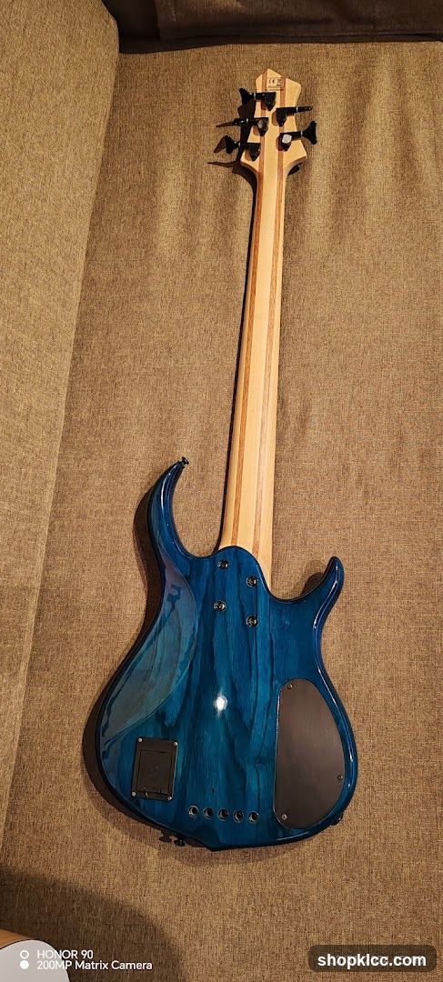 Electric Bass Guitar