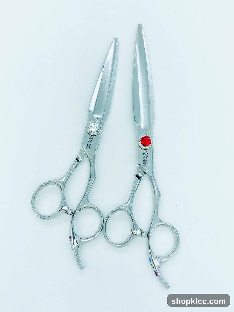 Two Pairs of Scissors