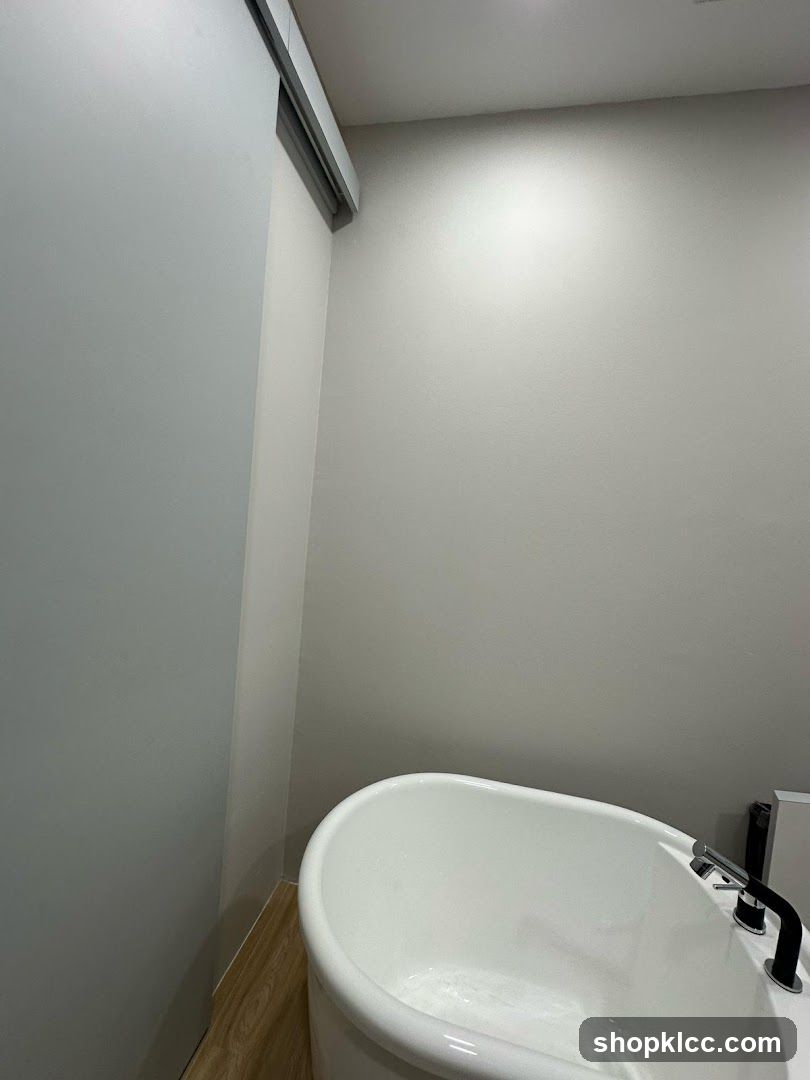 Modern Bathroom with Freestanding Tub