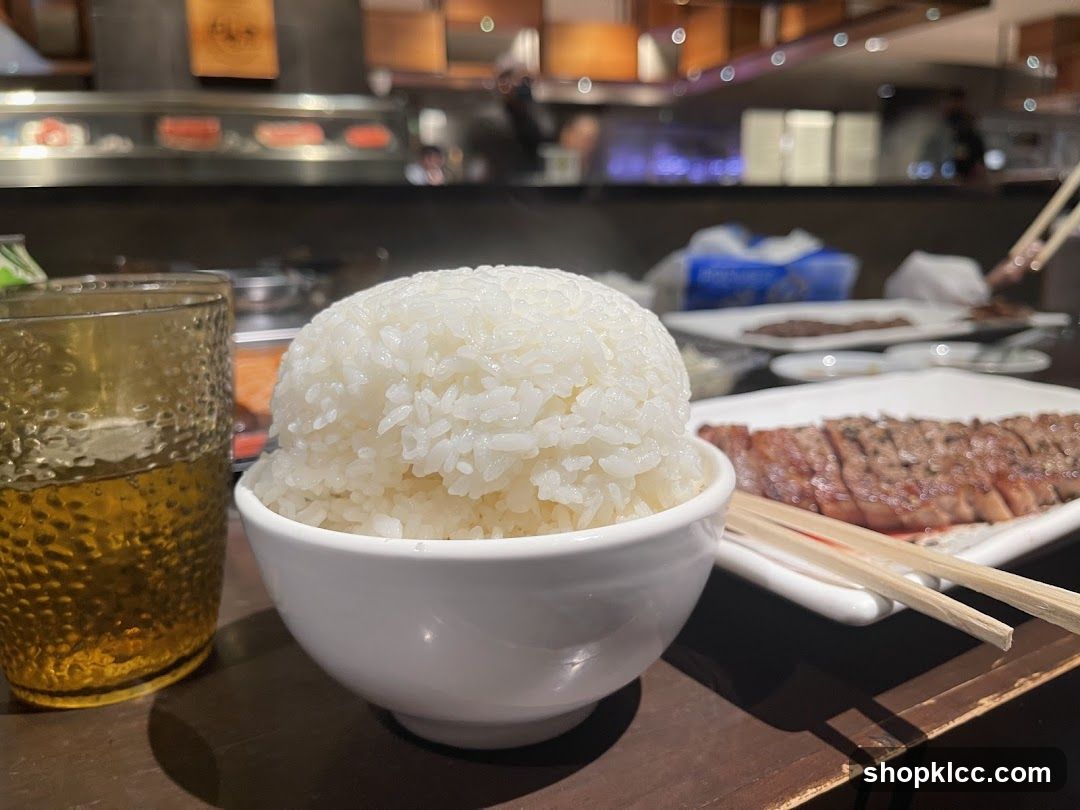 Steak and Rice