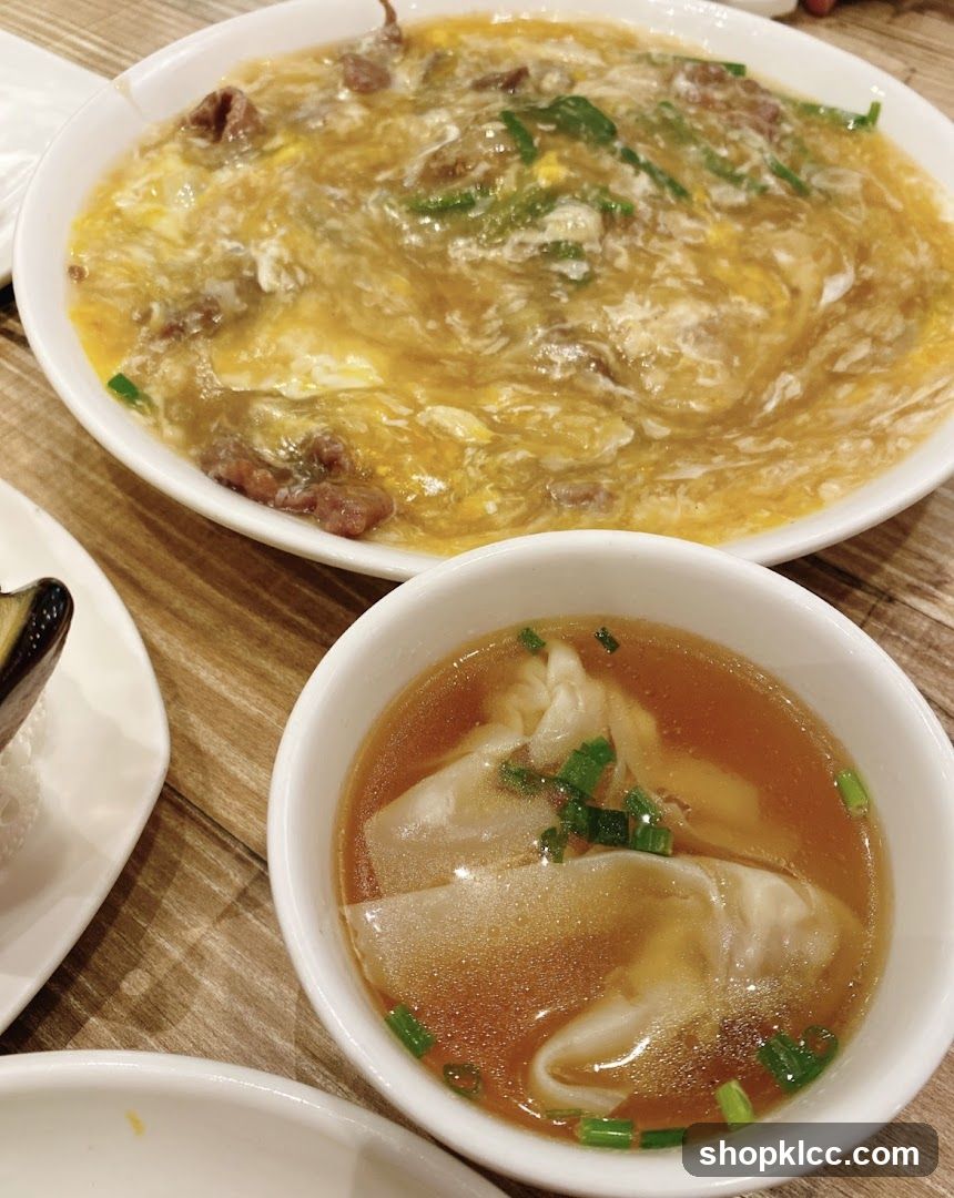 Beef and Egg Soup with Wontons