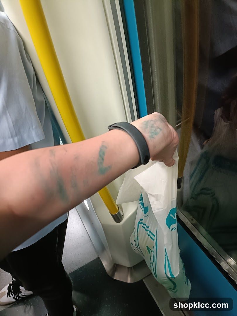 Person holding a shopping bag on public transport