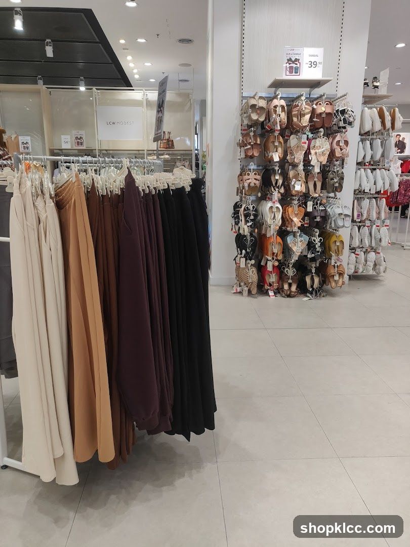 Clothing and Shoe Store Interior