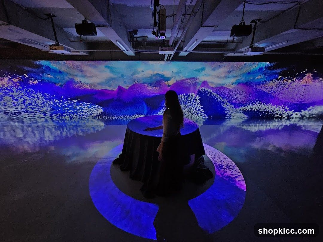 Interactive Digital Art Installation