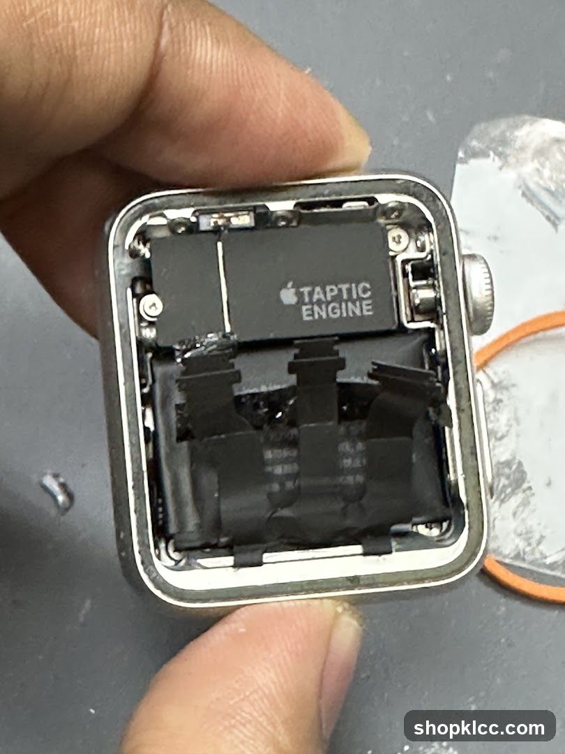 Disassembled Apple Watch with Taptic Engine
