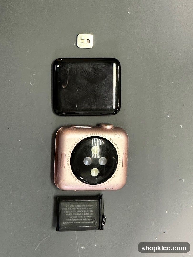 Apple Watch Parts Disassembly