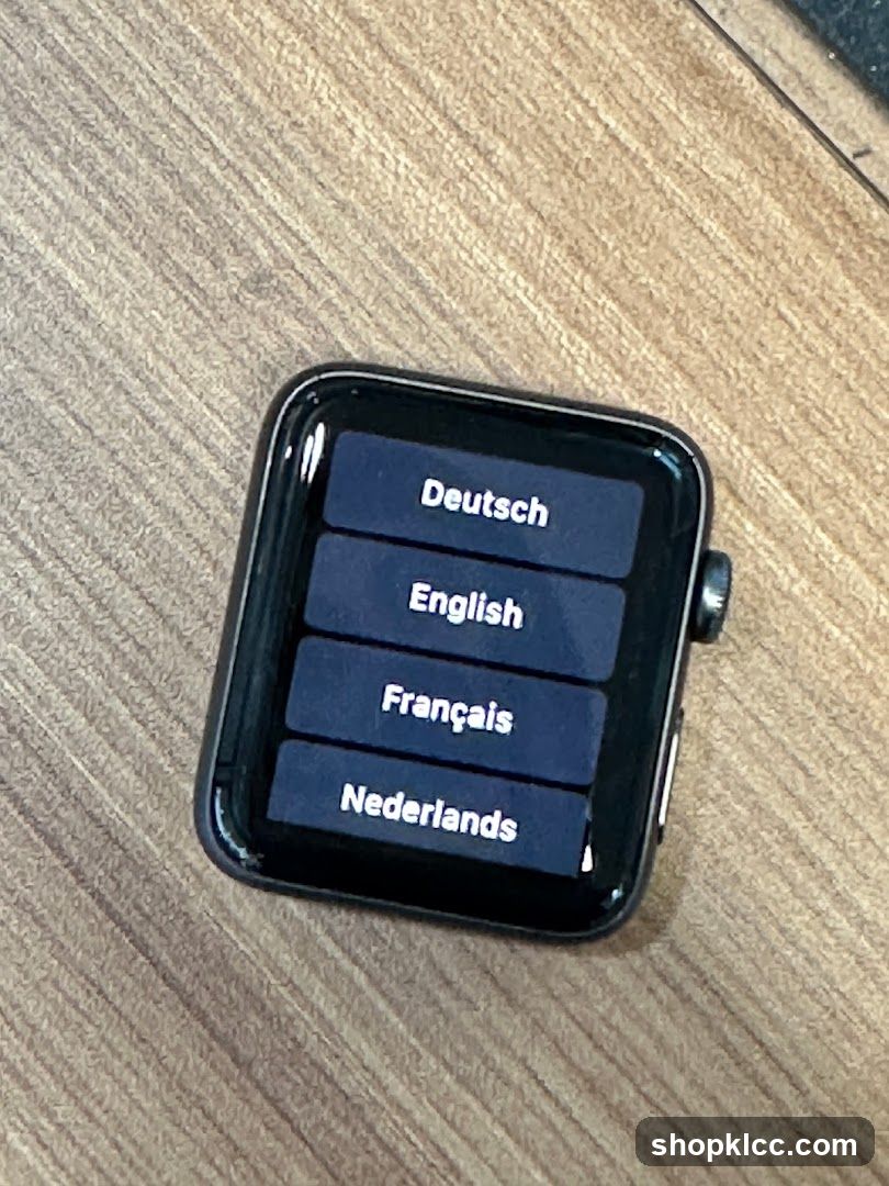 Smartwatch Language Selection Screen