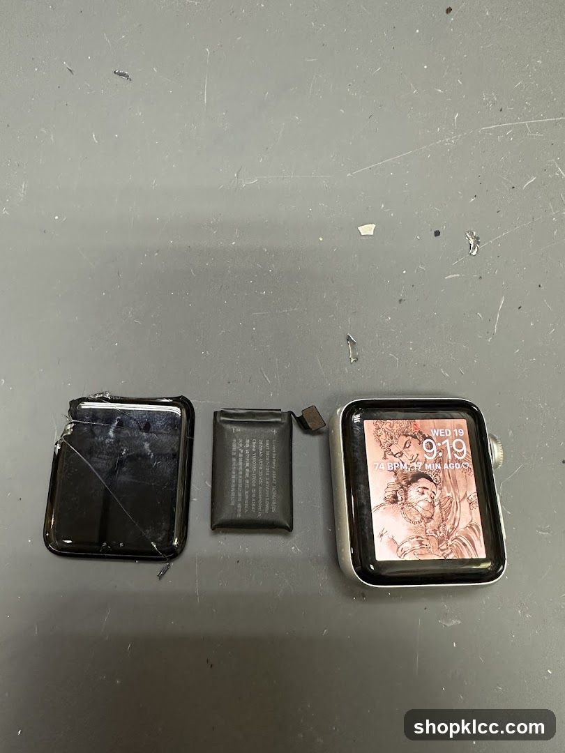 Disassembled Apple Watch Parts