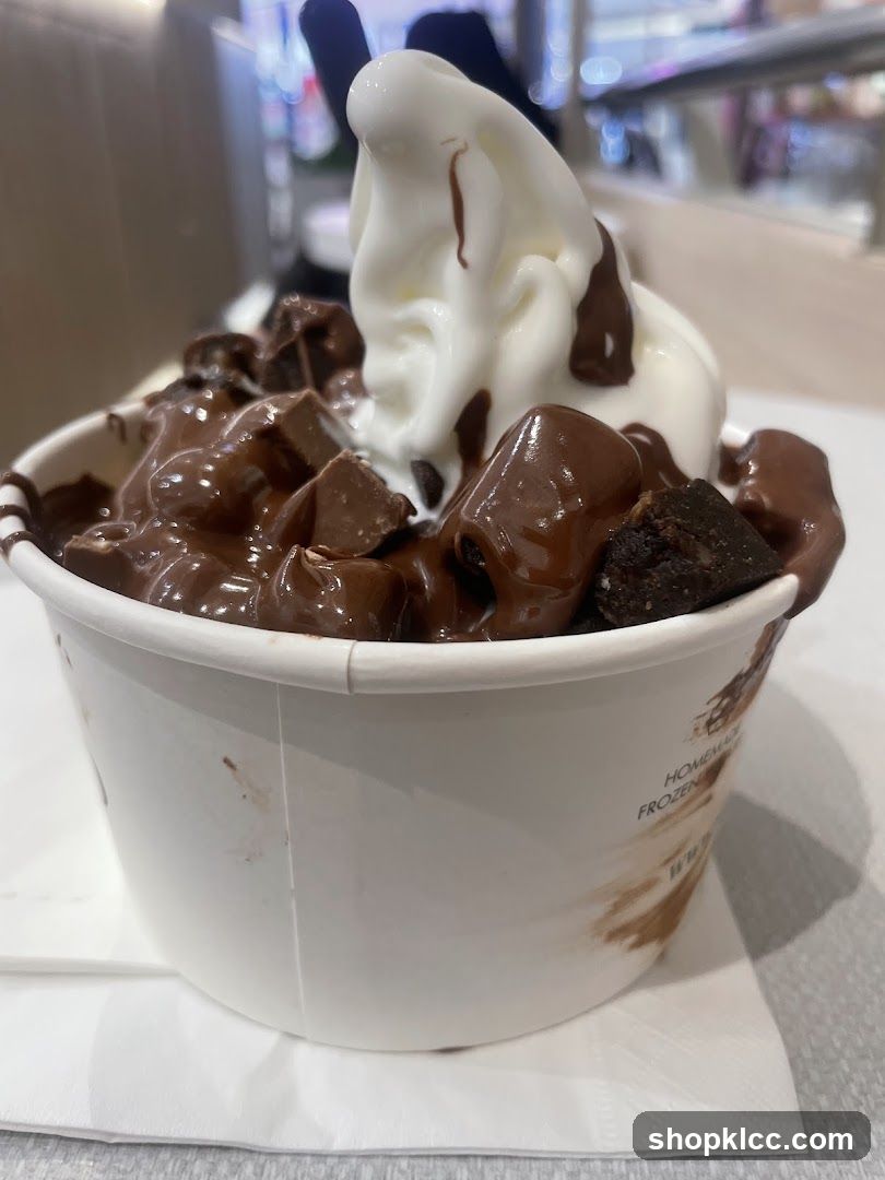 Frozen Yogurt with Chocolate Toppings