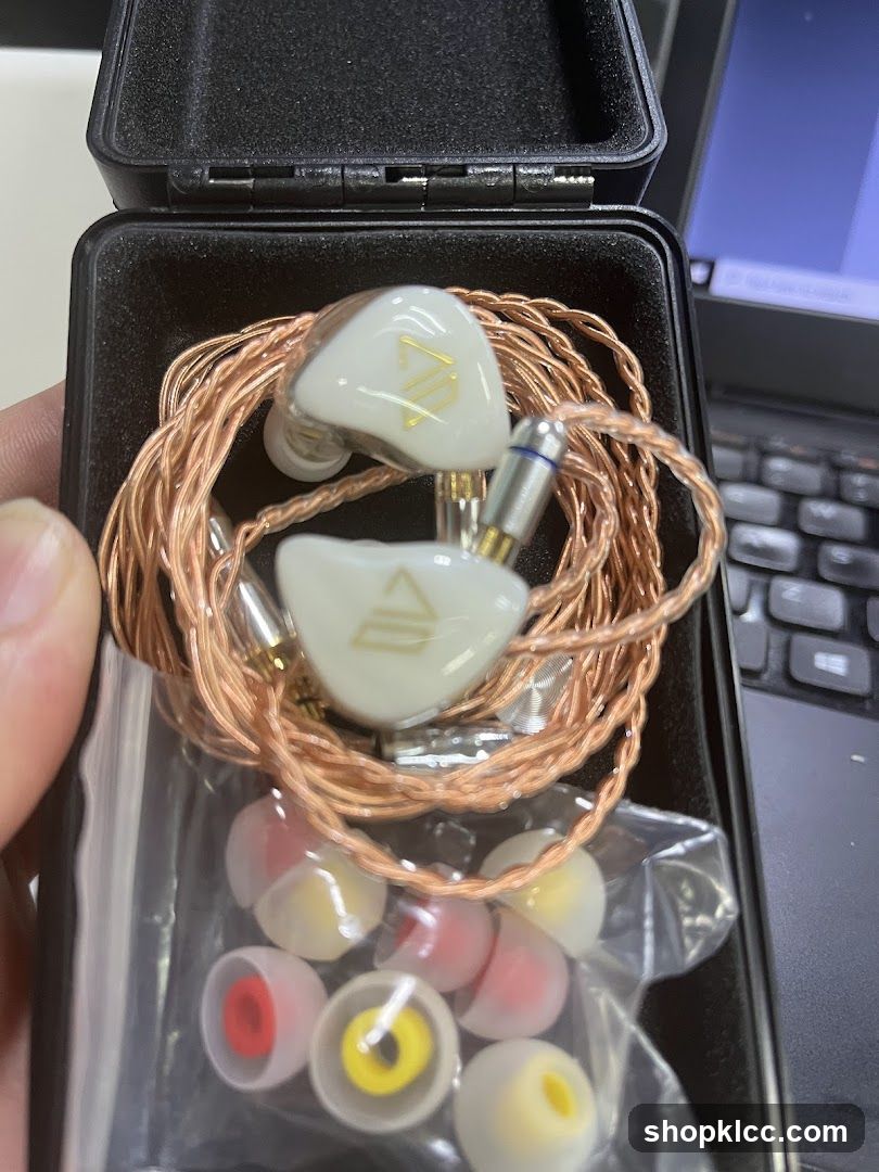 In-ear headphones in case