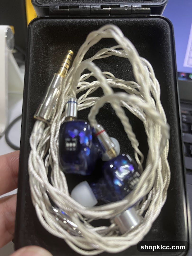 In-ear headphones in case