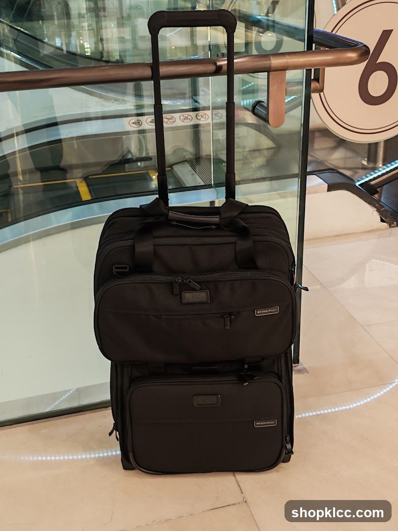 Two Black Rolling Suitcases