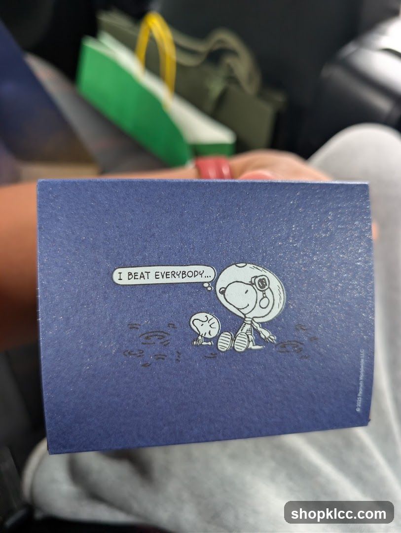 Peanuts Box