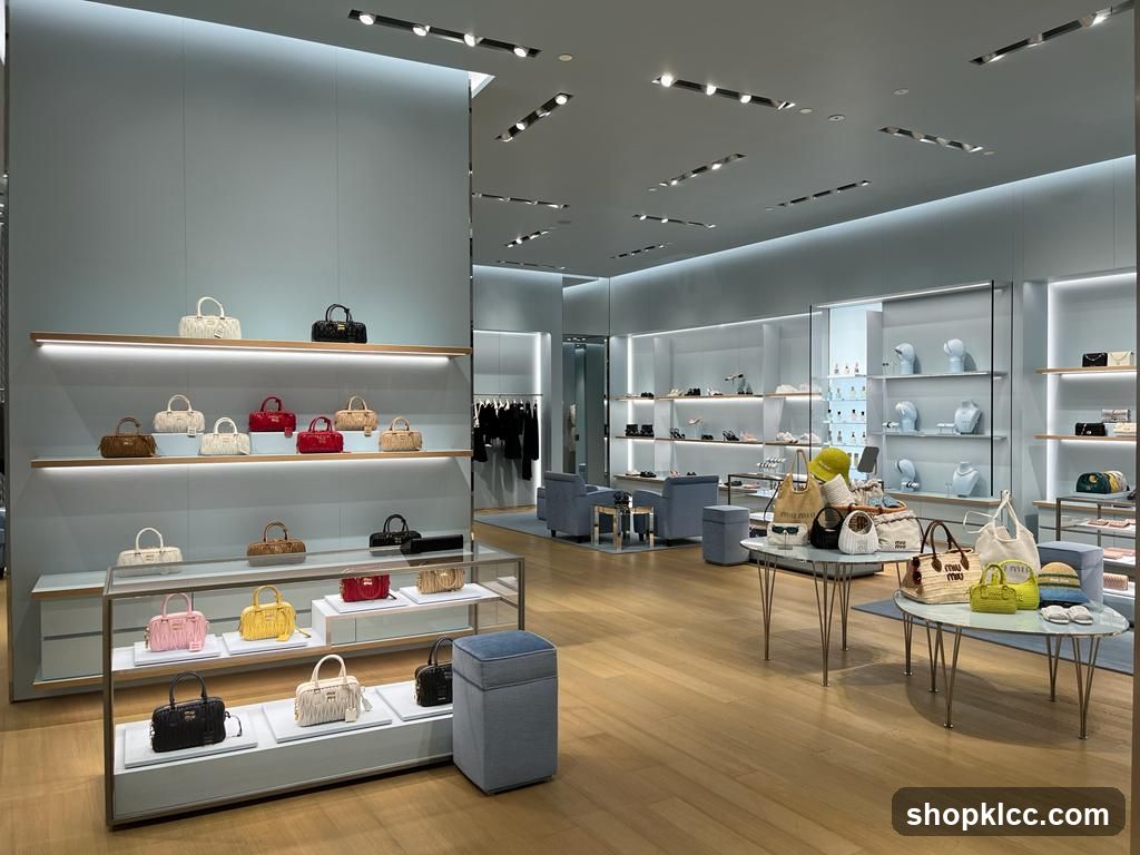 Luxury Handbag and Shoe Store Interior